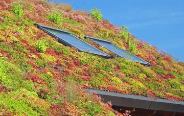 Bromeswell living roof systems