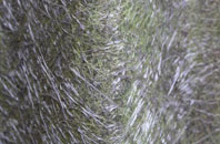 Bromeswell fibreglass roof work